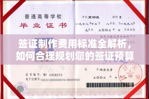 庆城签证制作费用标准全解析，如何合理规划您的签证预算？